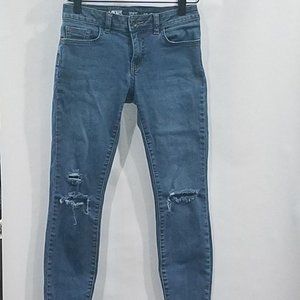 Van Skinny Jean Size 0/24